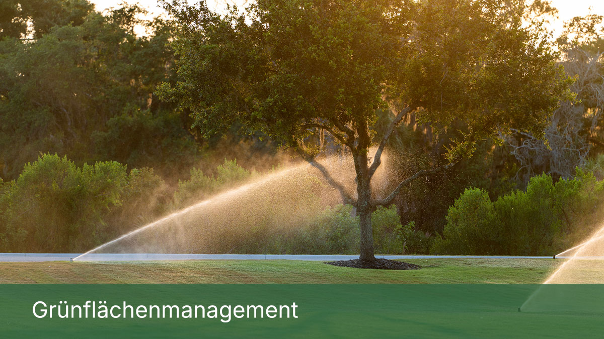 Grünflächenmanagement